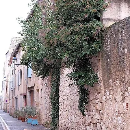 Le Petit Ecolier Lectoure